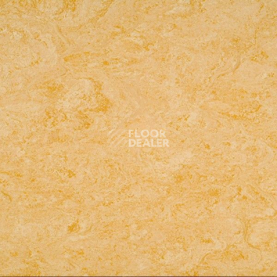 Линолеум Gerflor Marmorette Acoustic DLW 121-076 фото 1 | FLOORDEALER
