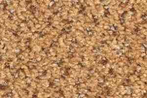 Ковролин Balsan Tango Tango 450 фото  | FLOORDEALER