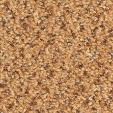 Ковролин Balsan Tango Tango 450 фото 1 | FLOORDEALER