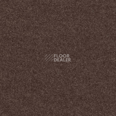 Ковролин Finett Feinwerk 403508 фото 1 | FLOORDEALER