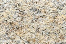 Forbo Akzent 10703 Sand фото 3 | FLOORDEALER