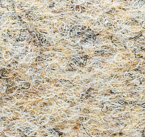 Forbo Akzent 10703 Sand фото 3 | FLOORDEALER