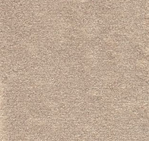 Ковролин AW Seduction 36 фото 1 | FLOORDEALER