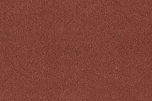 Ковролин Desso Asteranne 4218 фото  | FLOORDEALER