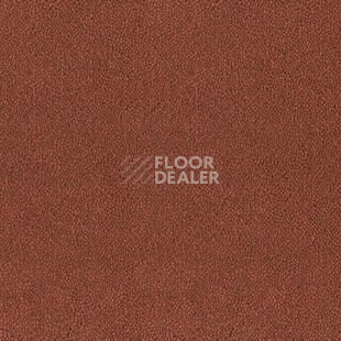 Ковролин Desso Asteranne 4218 фото 1 | FLOORDEALER