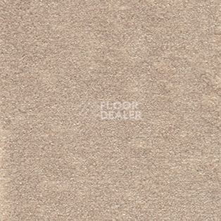 Ковролин AW Seduction 36 фото 1 | FLOORDEALER