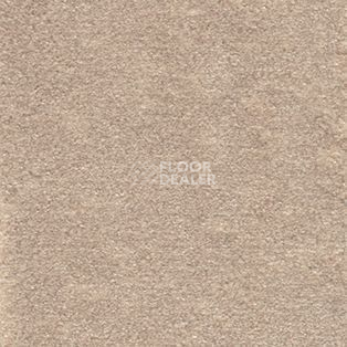 Ковролин AW Seduction 36 фото 1 | FLOORDEALER