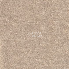 Ковролин AW Seduction 36 фото 1 | FLOORDEALER