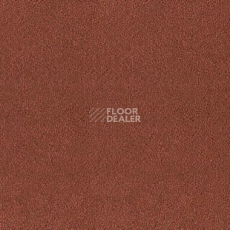 Ковролин Desso Asteranne 4218 фото 1 | FLOORDEALER