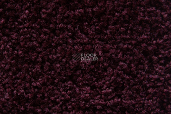 Balsan Serenite 590 фото 2 | FLOORDEALER