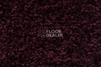 Balsan Serenite 590 фото 2 | FLOORDEALER