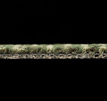 Betap Plato_new Plato 440 фото 4 | FLOORDEALER