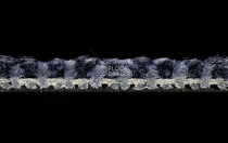 Balsan Stoneage 980 фото 3 | FLOORDEALER