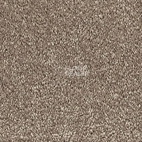 Ковролин Vorwerk Passion 1001 Vorwerk 8h79 фото 1 | FLOORDEALER