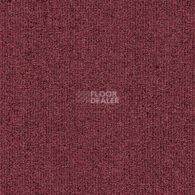 Ковролин ITC Solid Solid 16 фото 1 | FLOORDEALER