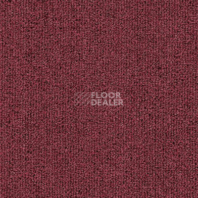 Ковролин ITC Solid Solid 16 фото 1 | FLOORDEALER