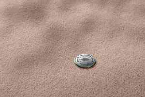 Ковролин Vorwerk Superior 1069/Hermelin 1n87 фото  | FLOORDEALER