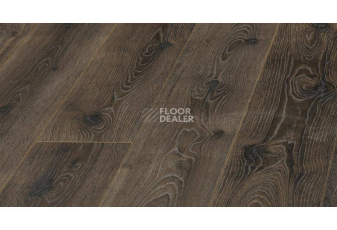 Ламинат Kronopol Aurum Senso d3485 Вяз Буги фото 1 | FLOORDEALER