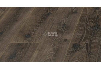 Kronopol Aurum Senso d3485 Вяз Буги фото 1 | FLOORDEALER