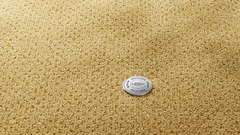 Ковролин Vorwerk Superior 1071 Vorwerk 2f51 фото 1 | FLOORDEALER