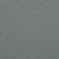 Линолеум Colorette 0059 Stone Grey фото 1 | FLOORDEALER
