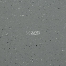 Линолеум Colorette 0059 Stone Grey фото 1 | FLOORDEALER
