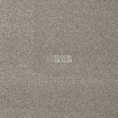 Ковролин AW Satisfaction 49 фото 1 | FLOORDEALER