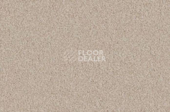 Ковролин Vorwerk Viola 8h52 фото 1 | FLOORDEALER