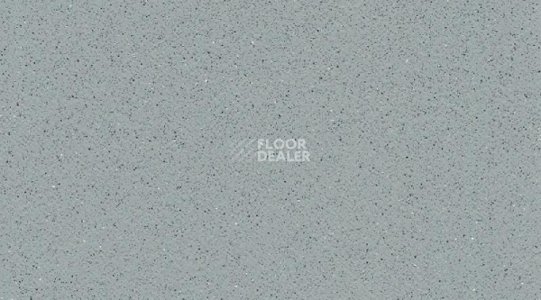 Линолеум Tarasafe Super 7767_Dove_Grey фото 1 | FLOORDEALER