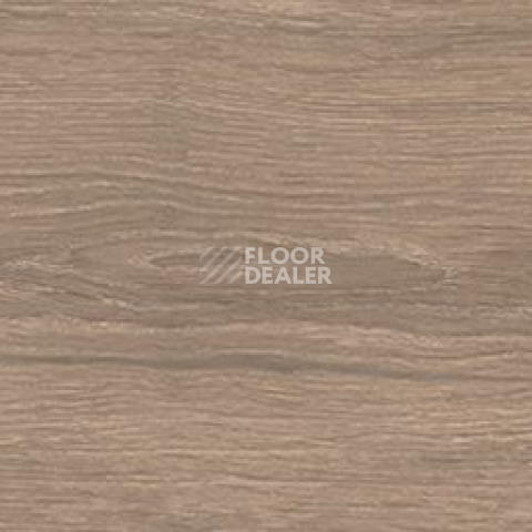 Керамогранит Cocoon 20 X 120 Ease фото 1 | FLOORDEALER