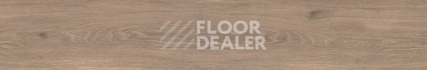 Керамогранит Cocoon 20 X 120 Ease фото 1 | FLOORDEALER