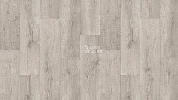 Линолеум Tarkett Club ARMA 1 фото 1 | FLOORDEALER