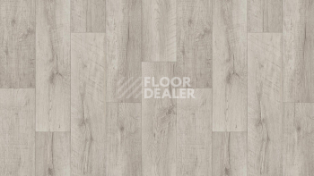 Линолеум Tarkett Club ARMA 1 фото 1 | FLOORDEALER