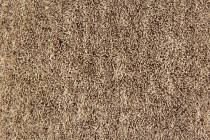 Flotex Colour Penang 50*50 t 382075 Penang Flax фото 2 | FLOORDEALER