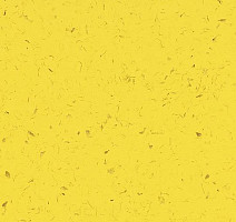 Кварцвиниловые полы Forbo Allura Colour C68022 фото 1 | FLOORDEALER