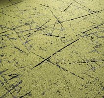 Balsan Crazy Balsan Crazy 260 фото 2 | FLOORDEALER