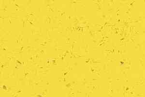 Кварцвиниловые полы Forbo Allura Colour C68022 фото  | FLOORDEALER