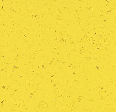 Кварцвиниловые полы Forbo Allura Colour C68022 фото 1 | FLOORDEALER