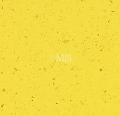 Кварцвиниловые полы Forbo Allura Colour C68022 фото 1 | FLOORDEALER