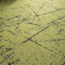 Balsan Crazy Balsan Crazy 260 фото 2 | FLOORDEALER