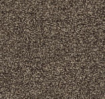 Ковролин AW Timeless 34 фото 1 | FLOORDEALER