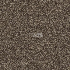 Ковролин AW Timeless 34 фото 1 | FLOORDEALER