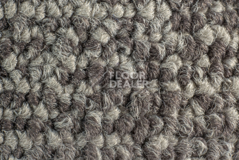 Balsan Stoneage 770 фото 2 | FLOORDEALER
