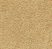 Balta ITC Cashmere Velvet 37 фото 1 | FLOORDEALER