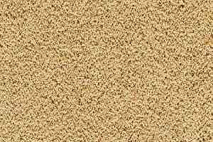 Ковролин Balta ITC Cashmere Velvet 37 фото  | FLOORDEALER