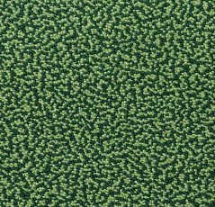 Ковровая плитка Westbond Flex Nf 152134 фото 1 | FLOORDEALER