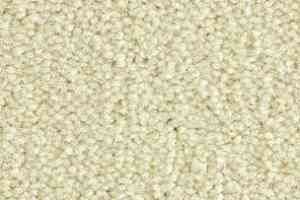 Ковролин Balsan Les Best III Les Best III 007 фото  | FLOORDEALER