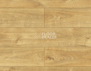 Ламинат Kronopol Platinium Testa AQUA BLOCK 8mm Kronopol Platinium Testa Aqua Block 24h Дуб Рубен D4582 фото 1 | FLOORDEALER