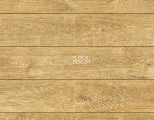 Ламинат Kronopol Platinium Testa AQUA BLOCK 8mm Kronopol Platinium Testa Aqua Block 24h Дуб Рубен D4582 фото 1 | FLOORDEALER