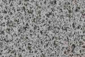 Линолеум Novoflor Extra Super 2120-53 фото  | FLOORDEALER